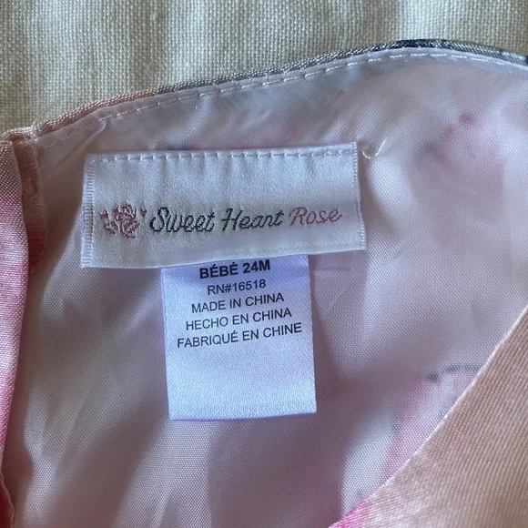 Sweet Heart Rose Floral Pink Sleeveless Dress Size 24 Months - Picture 4 of 11